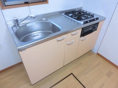 Kitchen. System kitchen two-burner stove