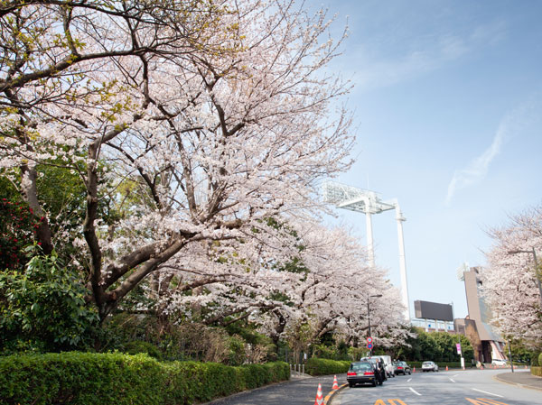 Surrounding environment. Meiji Jingu Gaien (about 960m ・ A 12-minute walk)