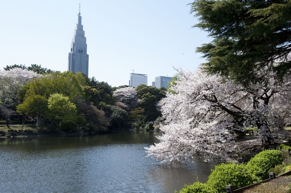 Shinjuku Gyoen (about 440m ・ 6-minute walk) ※ As one minute 80m for walk fraction display, Bicycle fraction calculates the 200m as 1 minute, Thing was rounded up.