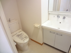 Washroom. Independent wash basin