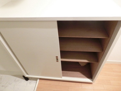 Other Equipment.  ☆ Footwear purse ☆ 