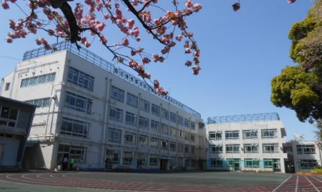 Primary school. 160m to Shinjuku Ward Ochiai third elementary school