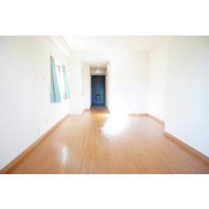 Living and room. The room is a picture of the same type.