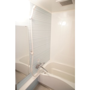 Bath. The room is a picture of the same type.