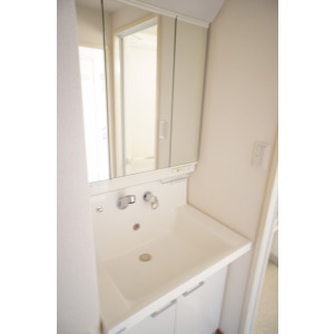 Washroom. The room is a picture of the same type.