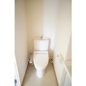 Toilet. The room is a picture of the same type.