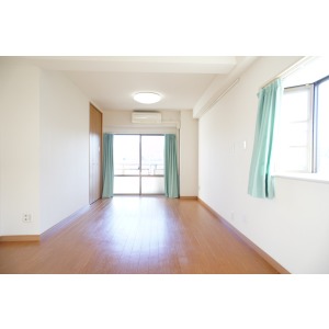 Living and room. The room is a picture of the same type.