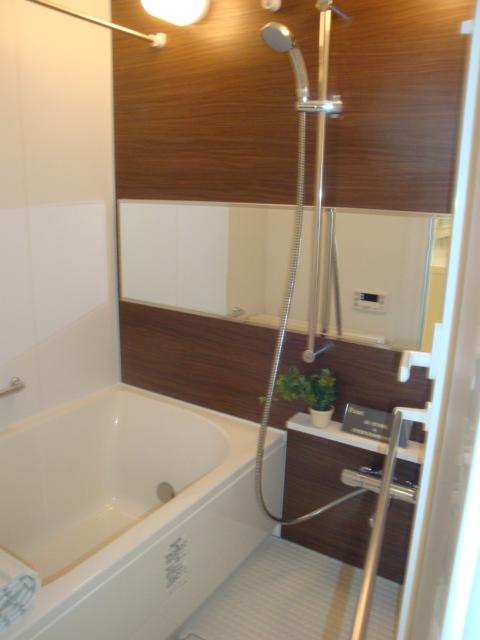 Bathroom. Indoor (11 May 2013) Shooting
