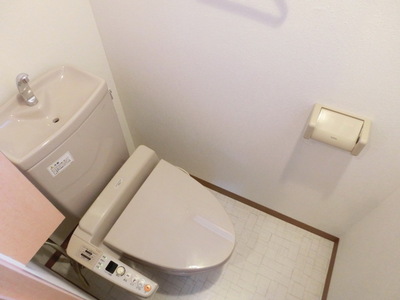 Toilet. With cleaning toilet seat Lavatories