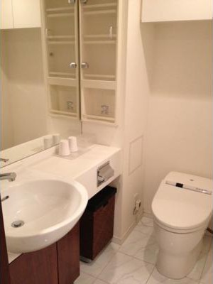 Washroom. Powder Room