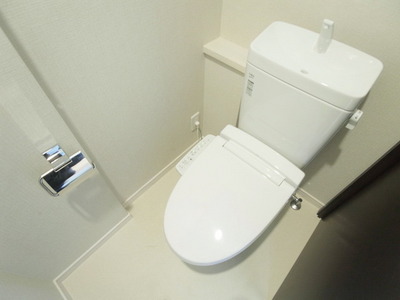 Toilet. Shower toilet