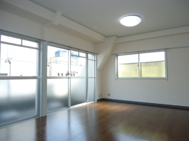 Living and room. Is a two-sided lighting bright rooms