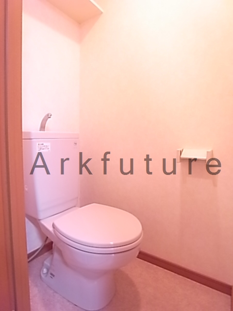 Toilet. Toilet with cleanliness!