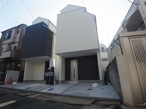 Local appearance photo. Designer House finished in modern design