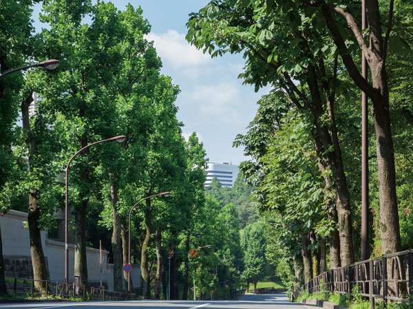 Surrounding environment. Akasaka patronized land (about 1.2km / Bike about 6 minutes)