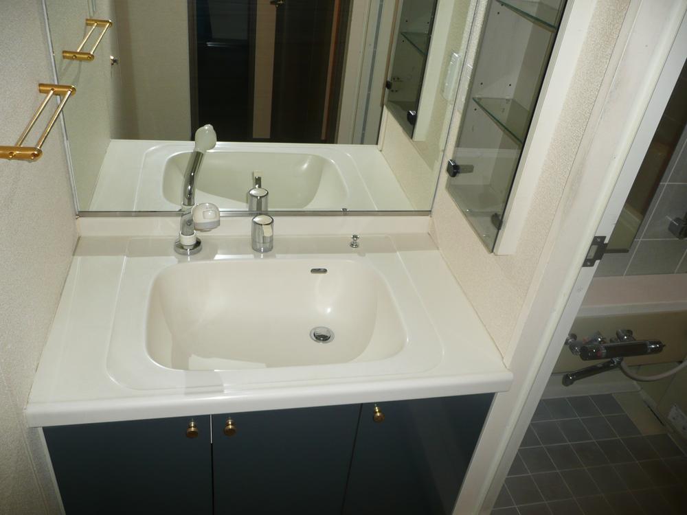Wash basin, toilet. Bathroom vanity