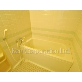 Bath. Shoot the same type the first floor of the room. Specifications may be different.