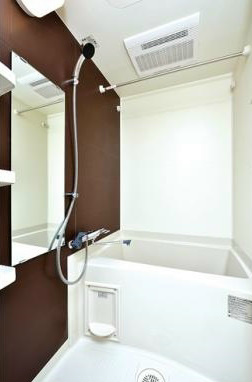 Bath. With bathroom dryer