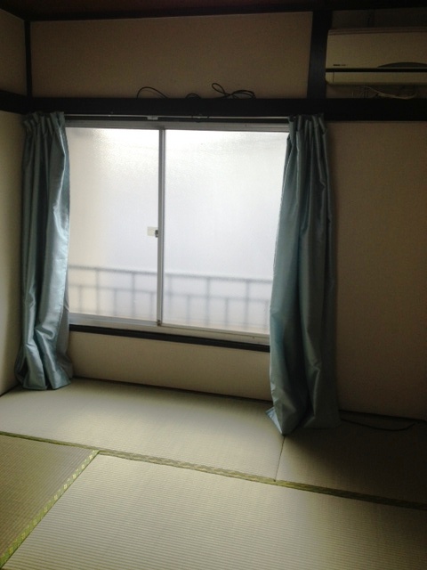 Living and room. Living