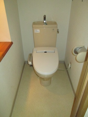 Toilet. Warm water washing toilet seat