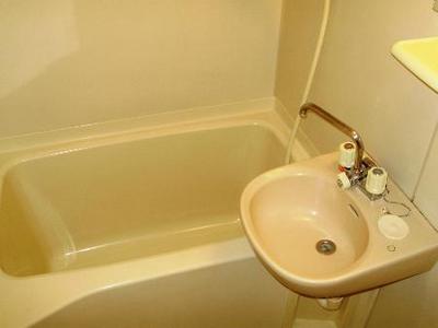 Bath. Clean bathroom