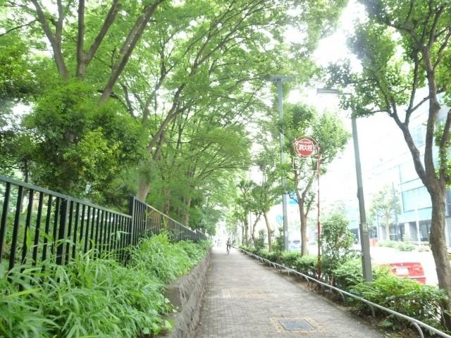 Other local