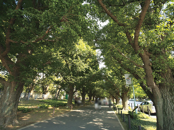 Surrounding environment. Meiji Jingu Gaien (about 1640m ・ Walk 21 minutes) (C)