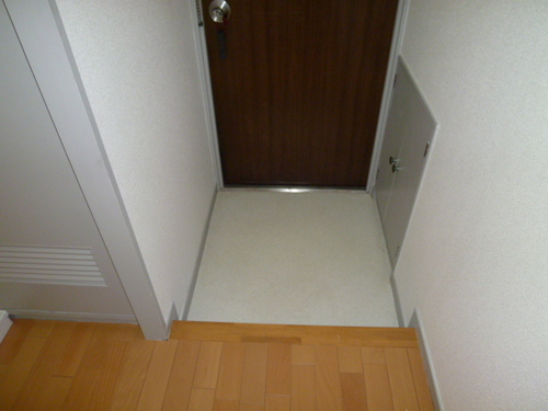 Living and room. Entrance