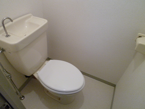 Other. Toilet
