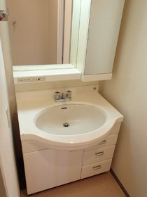 Washroom. There washbasin independent