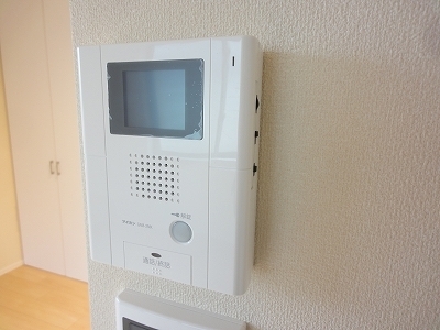 Security. Women worry, Monitor auto lock!