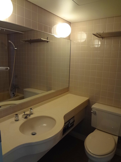 Washroom. Large-scale mirror