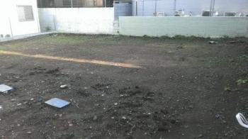 Local photos, including front road