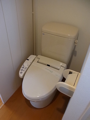 Toilet. Bidet with toilet