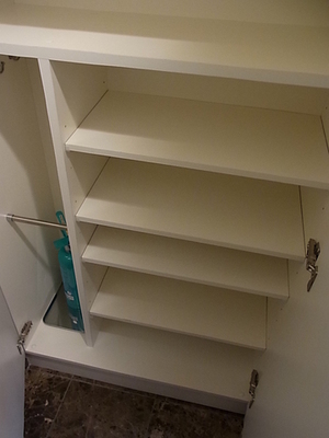 Entrance. Thor type shoes input