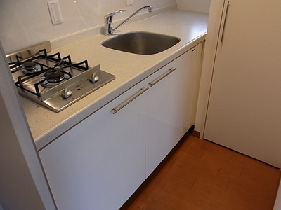 Kitchen. Two-burner stove Gasukitchin