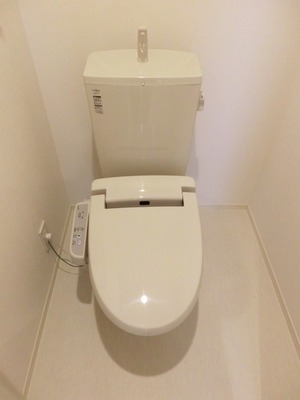 Toilet. Cleaning function toilet