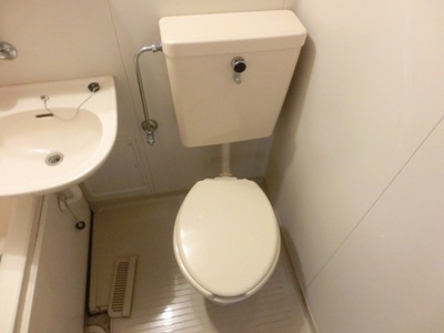 Toilet. Western-style toilet