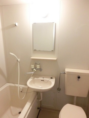 Washroom. Wash basin