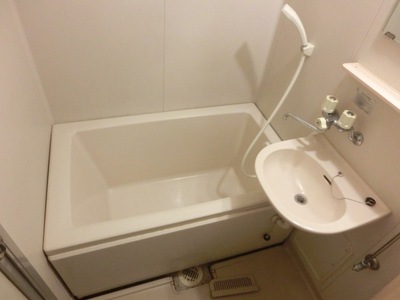 Bath. Hotel-like unit bus