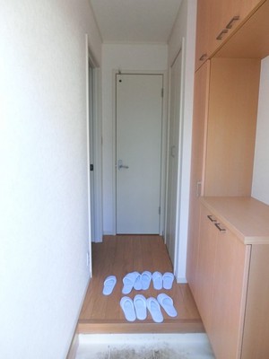 Entrance. Entrance hall