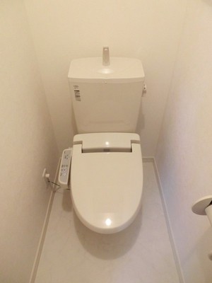 Toilet. Cleaning function toilet