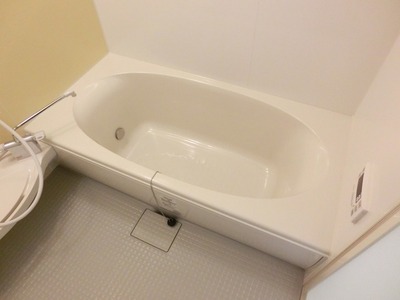 Bath. Spacious bathroom