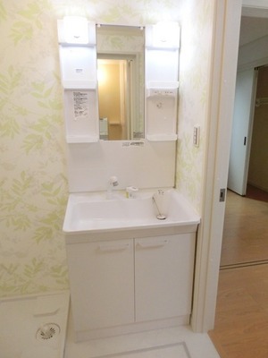 Washroom. Independent wash basin