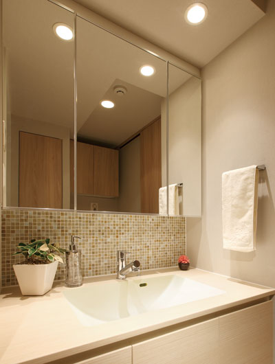 Bathing-wash room. Ease of use is good clean full of sanitary space