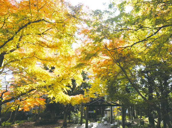 Surrounding environment. Shimoochiai wild birds of Forest Park (about 420m, 6-minute walk)