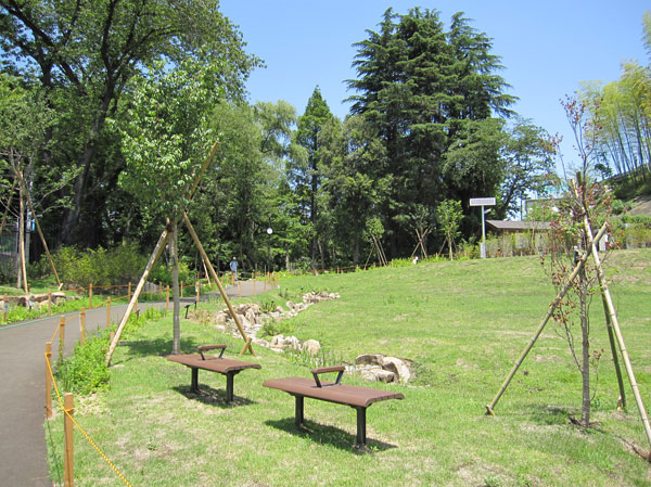 Surrounding environment. Virgin Mountain park (about 100m, A 2-minute walk)