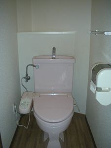 Toilet. Washlet toilet