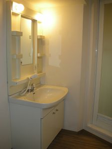 Washroom. Independent wash basin