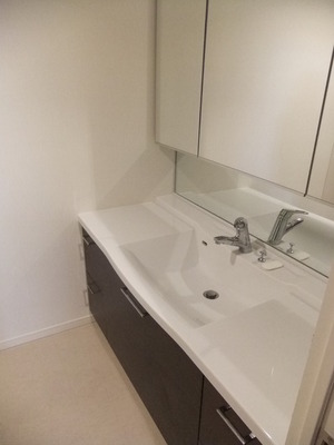 Washroom. Large washbasin